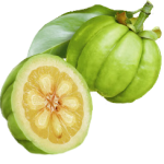 Le fruit Garcinia Cambogia: ses bienfaits pour la perte de poids